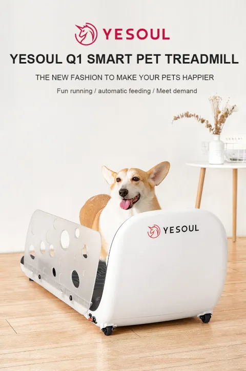 Yesoul Q1 Pet Treadmill